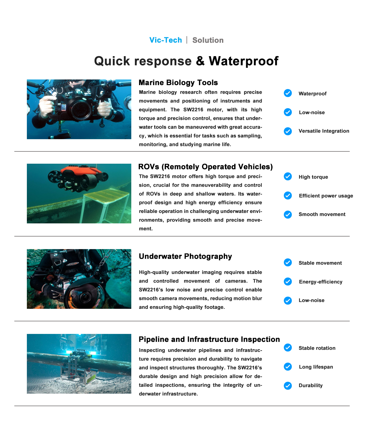 Underwater Motor