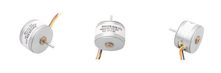 25mm PM stepper motor