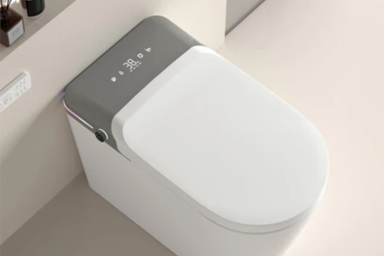 Smart-toilet